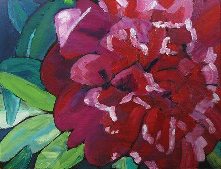 Pink Peony