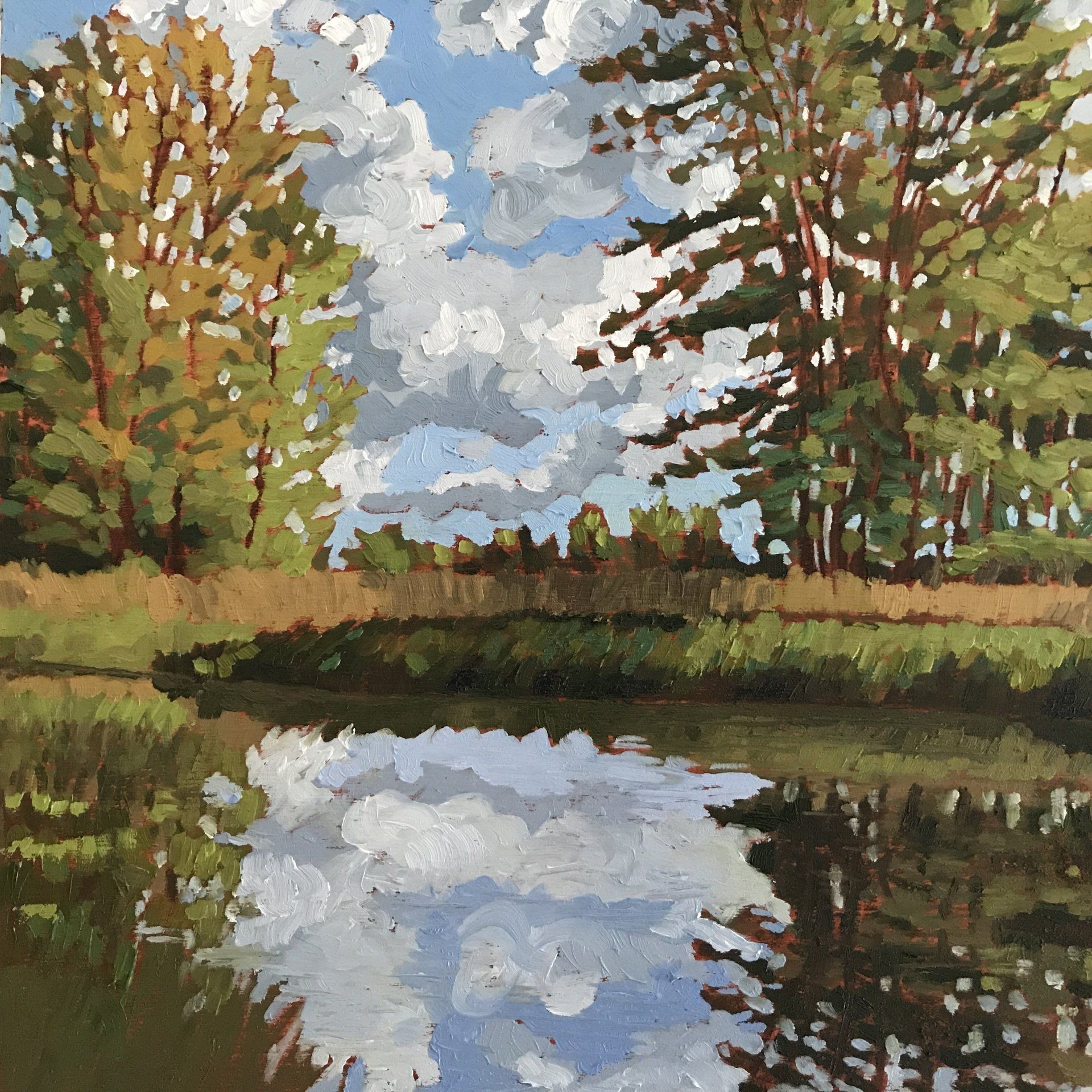 Pond reflections