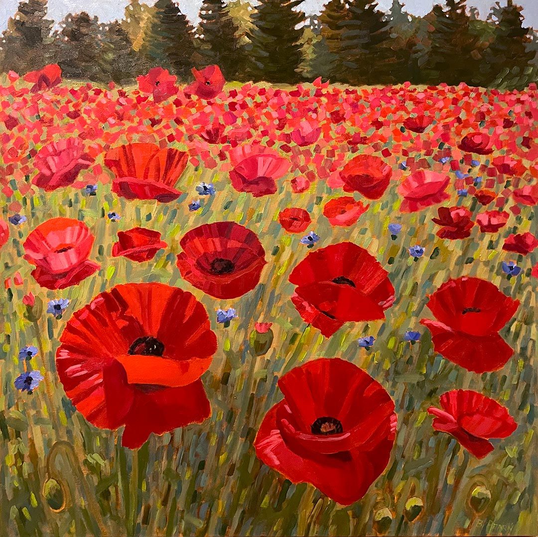 Poppy Field 30x30