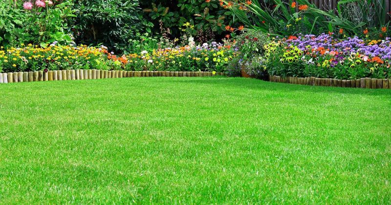 Bright green lawn bordered by colorful flower beds and shrubs in a garden