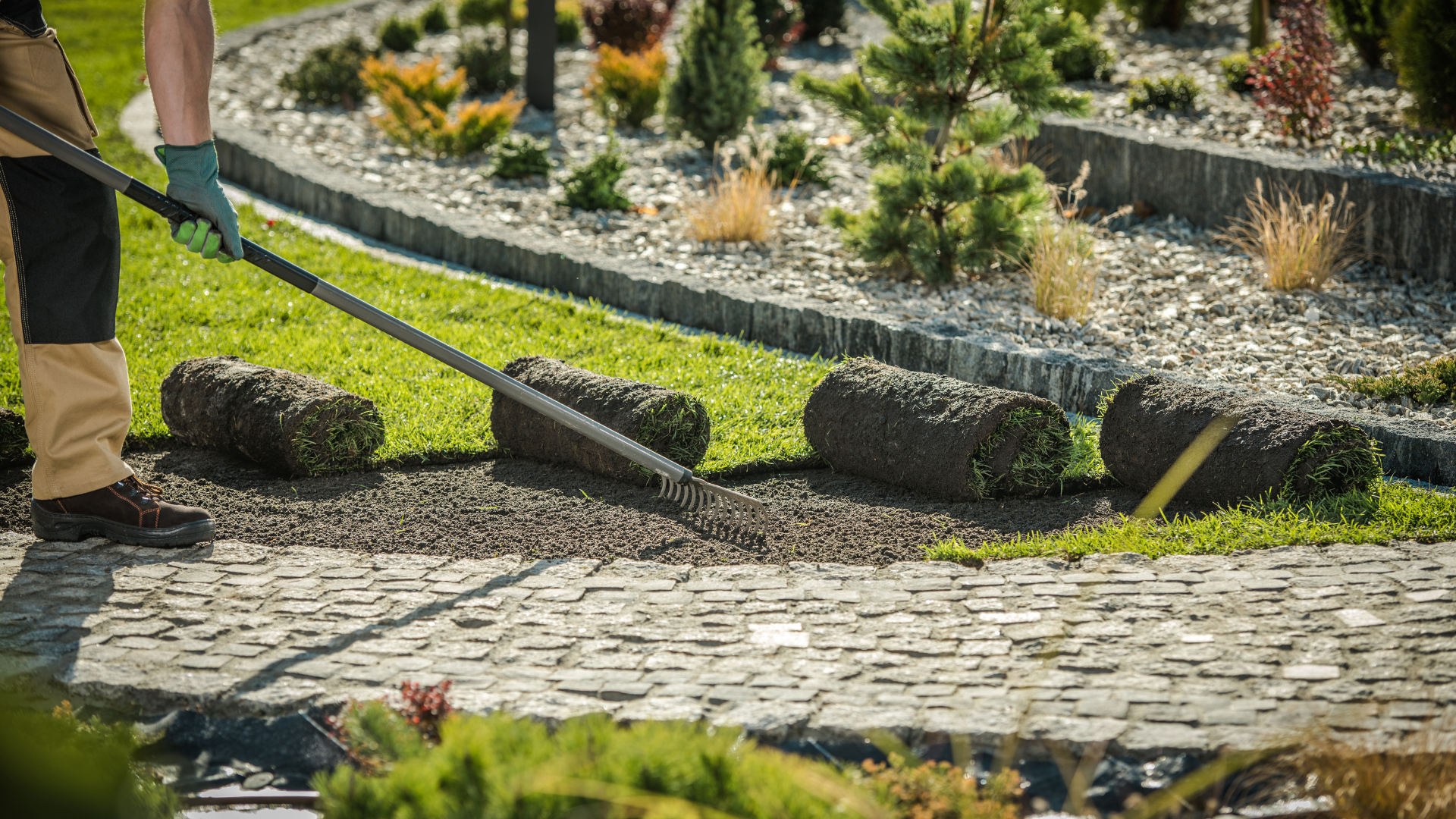 A landscaper rolls fresh sod over a curved stone path in a garden bed.