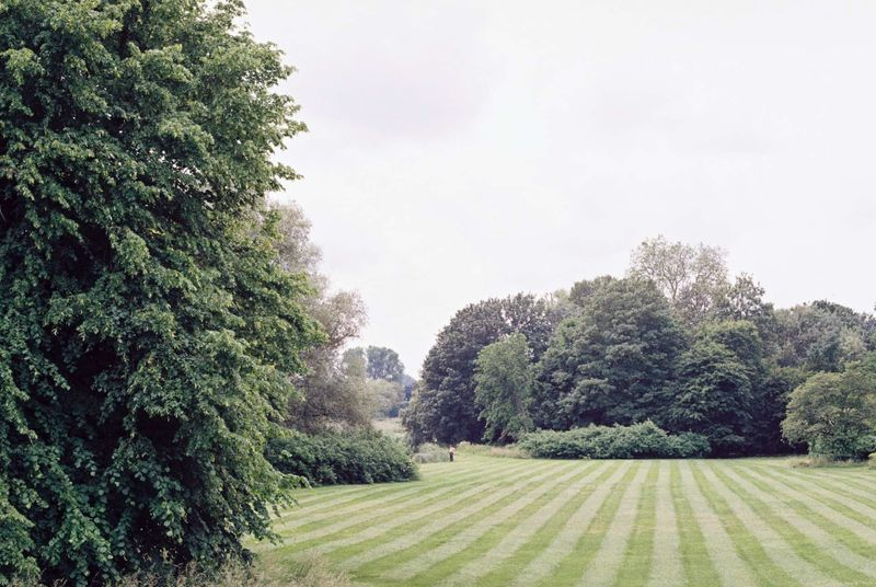 Lush green park with striped lawn and tall trees under a pale sky