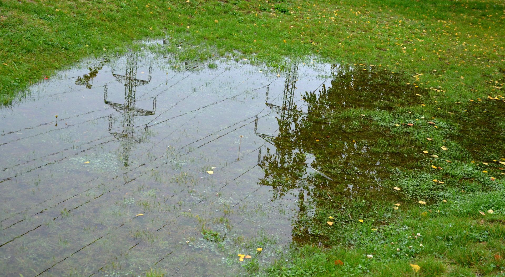 Flooded grassy area with a shallow puddle reflecting power lines and nearby trees