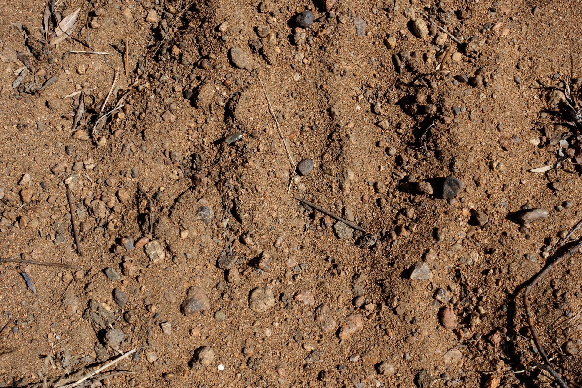 Dry, rocky brown soil with small pebbles and scattered twigs