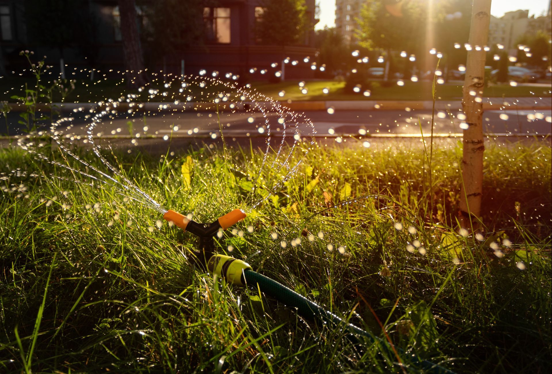 Sprinkler watering sunlit grass with sparkling droplets in a garden at dusk