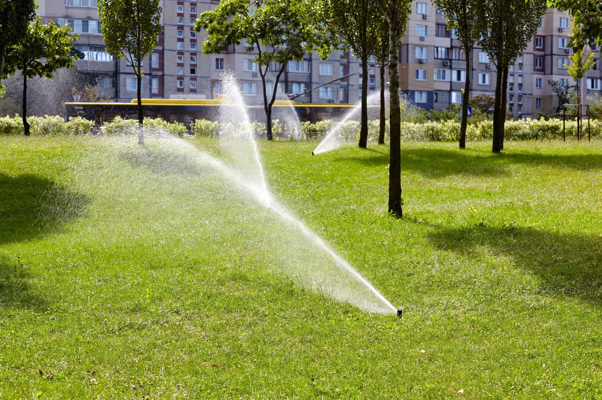 Lawn sprinklers spraying water in a sunny park with trees and apartment buildings in the background