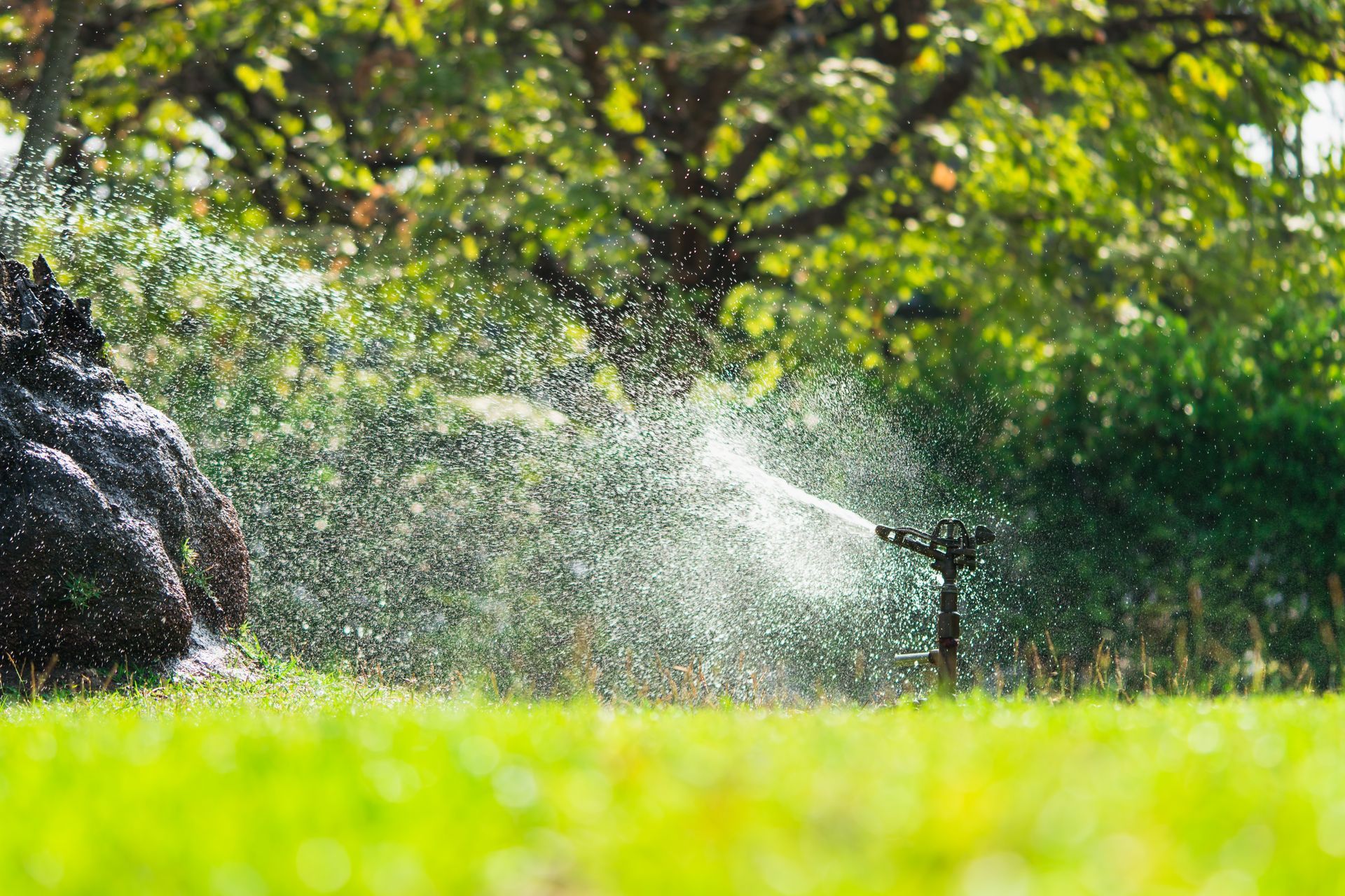 Sprinkler watering a sunny green lawn with mist and trees in the background