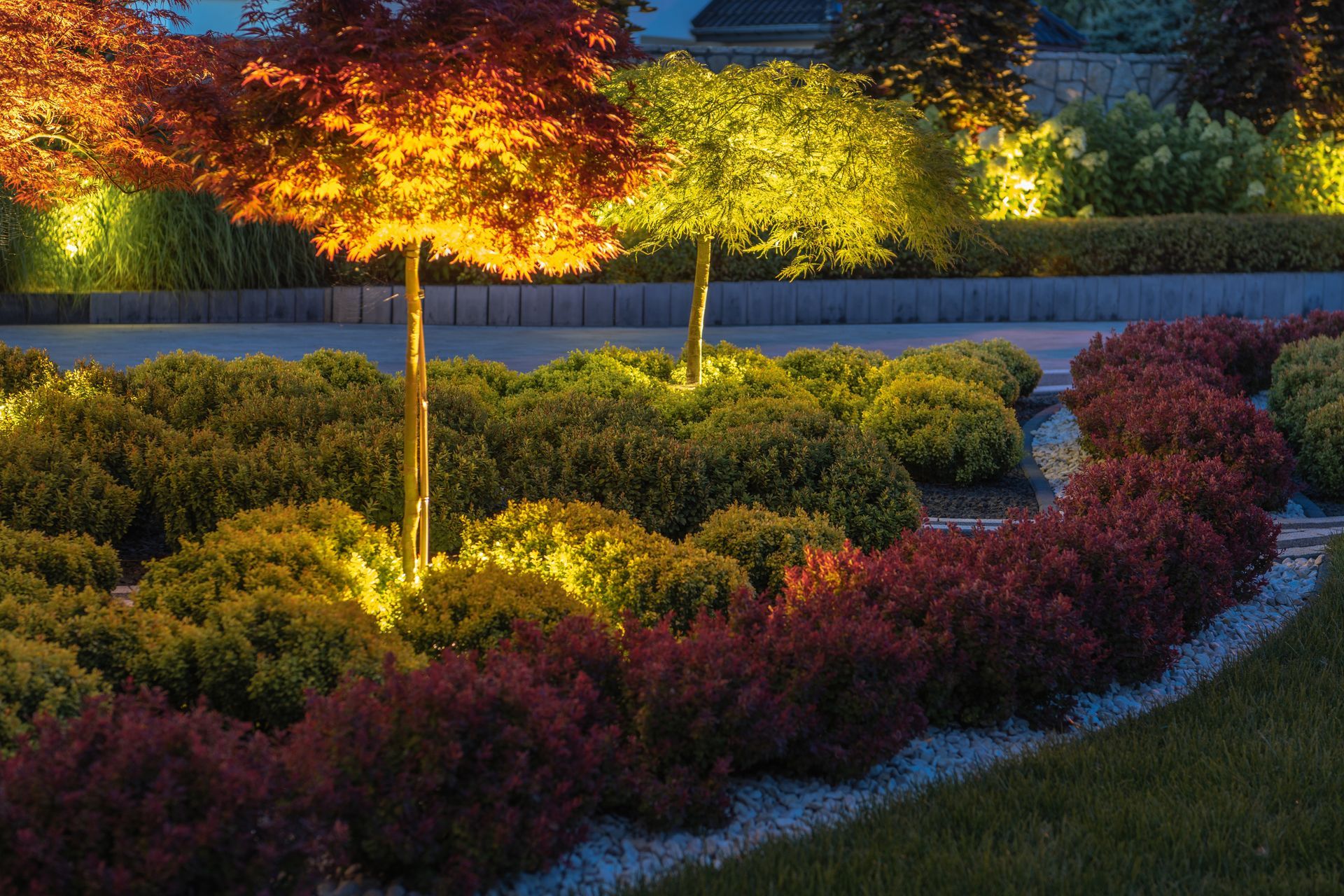 Illuminated landscaped garden with colorful shrubs and a glowing red-orange tree at dusk