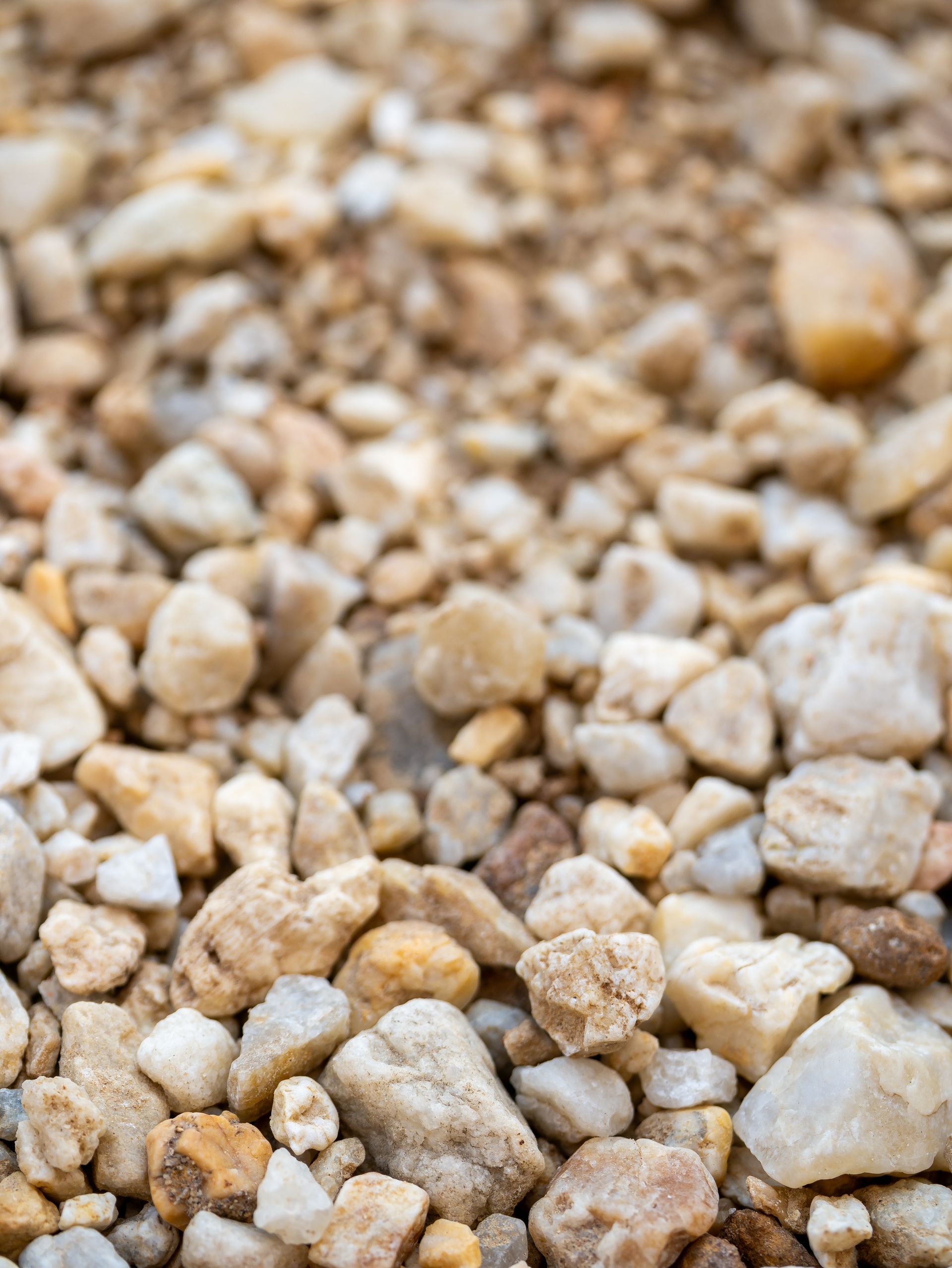 Close-up of small beige and tan pebbles covering the ground