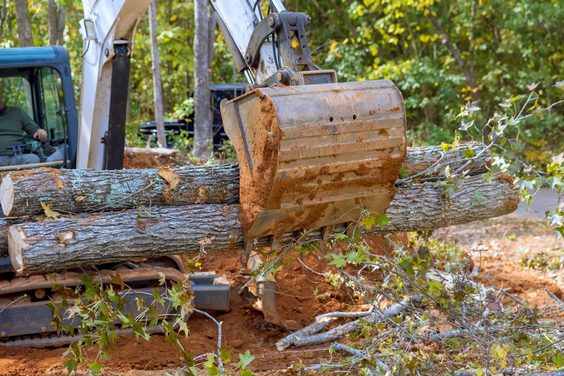 Excavator lifting a large fallen tree trunk in a wooded area with scattered logs and branches