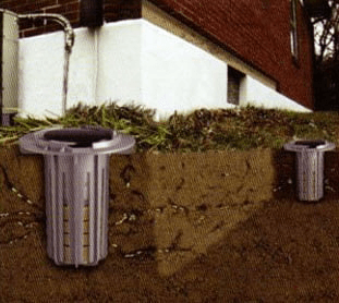 Bait System — Prescott, AZ — Avant-Garde Pest Management Inc
