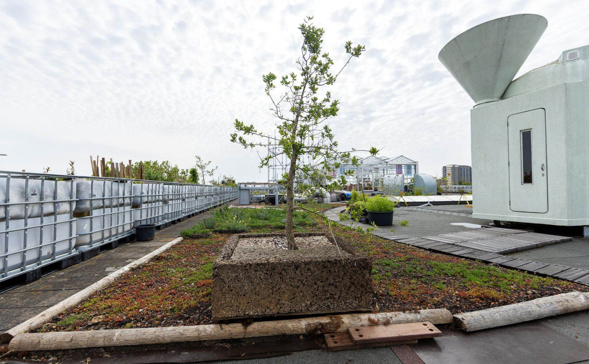 Daktuin met verhoogde plantenbedden, een jonge boom, grindpaden en een grote witte ventilatieconstructie.