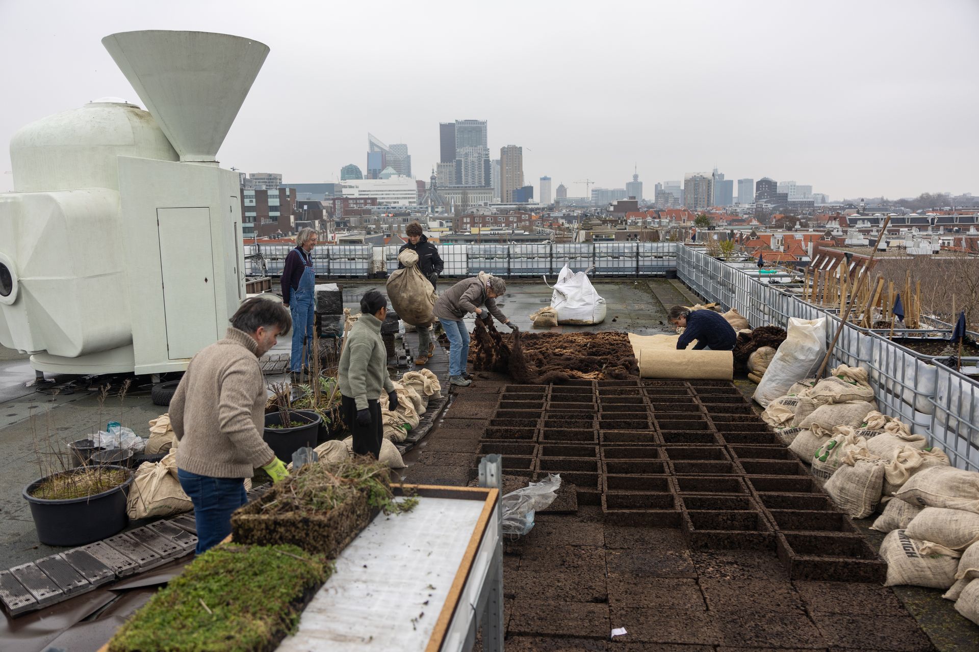 Mensen werken in een daktuin met plantenbakken en de skyline van de stad op de achtergrond.