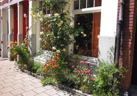 Raam met uitzicht op een bloementuin, met rozen die tegen de muur omhoog klimmen.