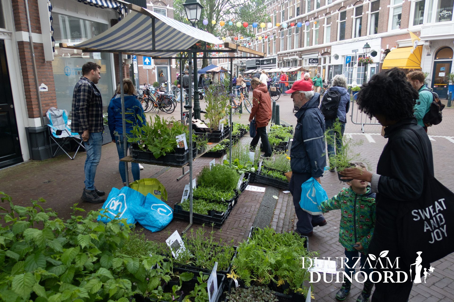 Mensen bekijken potplanten en bloemen bij een drukke marktkraam op een stadsplein.