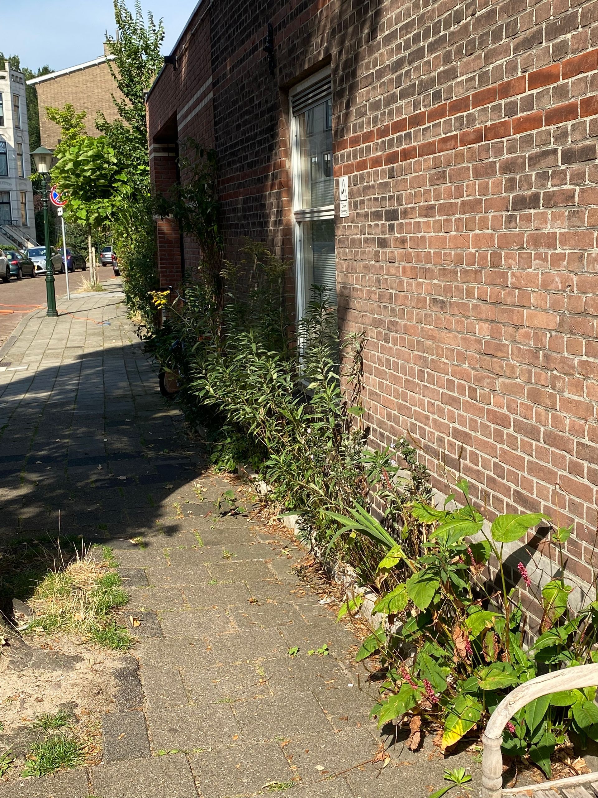 Een stoep langs een bakstenen gebouw, begroeid met struiken en planten, op een zonnige dag.