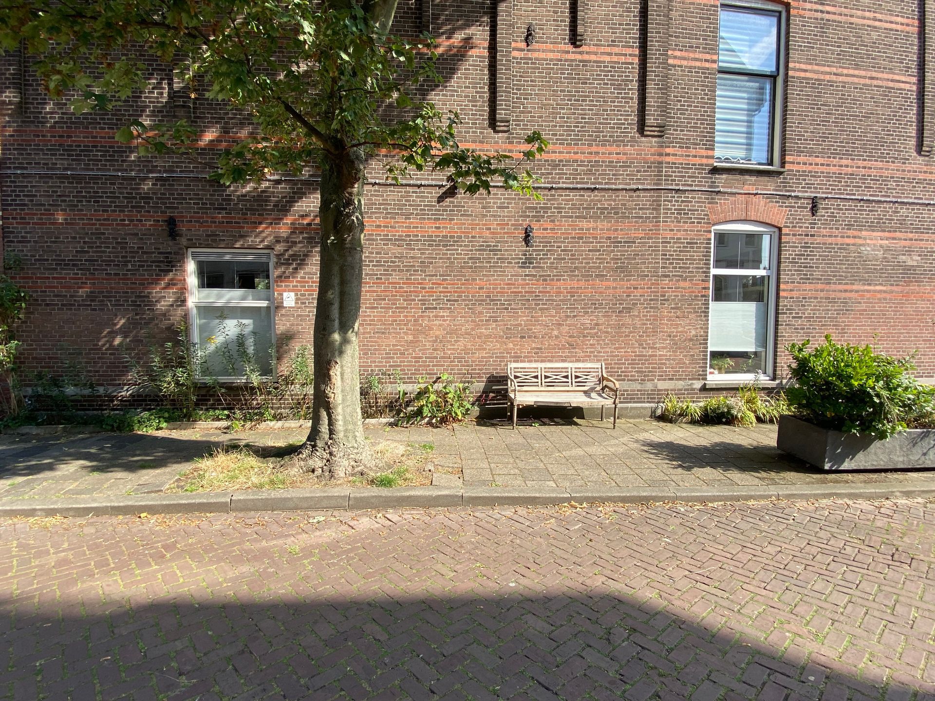 De buitenkant van een bakstenen gebouw met een boom, een bankje en twee ramen. Bruine bakstenen, groene bladeren en een zonnige dag.