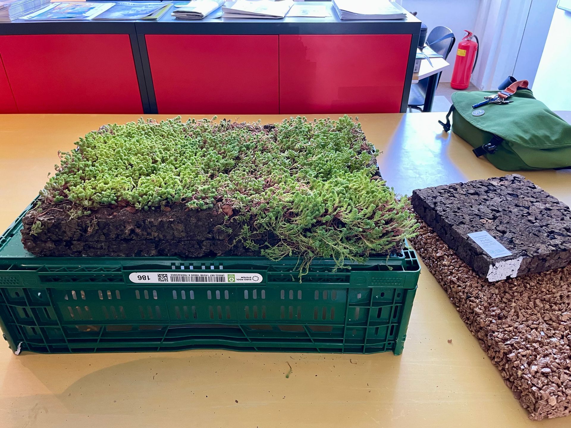 Groene krat met mos op een tafel naast een bruine schaal en een groene tas in een werkplaatsomgeving.