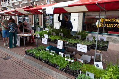 Een marktkraam in de openlucht met potplanten en uithangborden onder rood-witte luifels, waar klanten rondkijken.