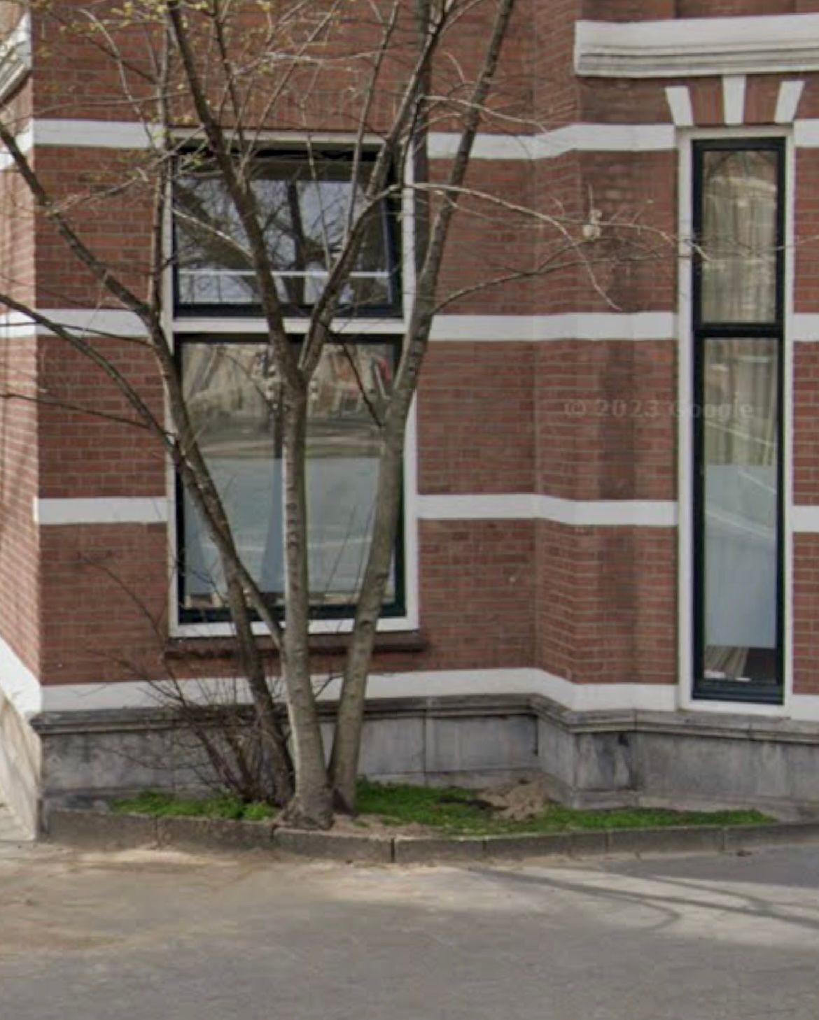 Bakstenen gebouw met zwart omlijste ramen en een kale boom ervoor. Witte horizontale strepen en een betonnen sokkel.