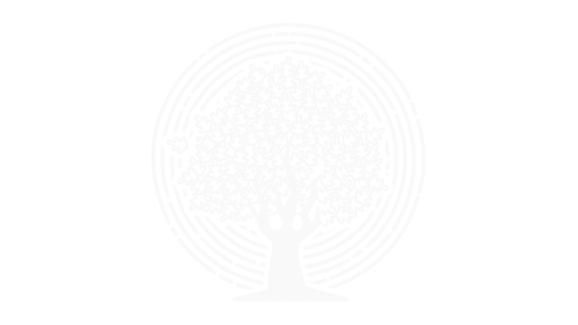 White abstract tree-like spiral pattern centered on a plain white background