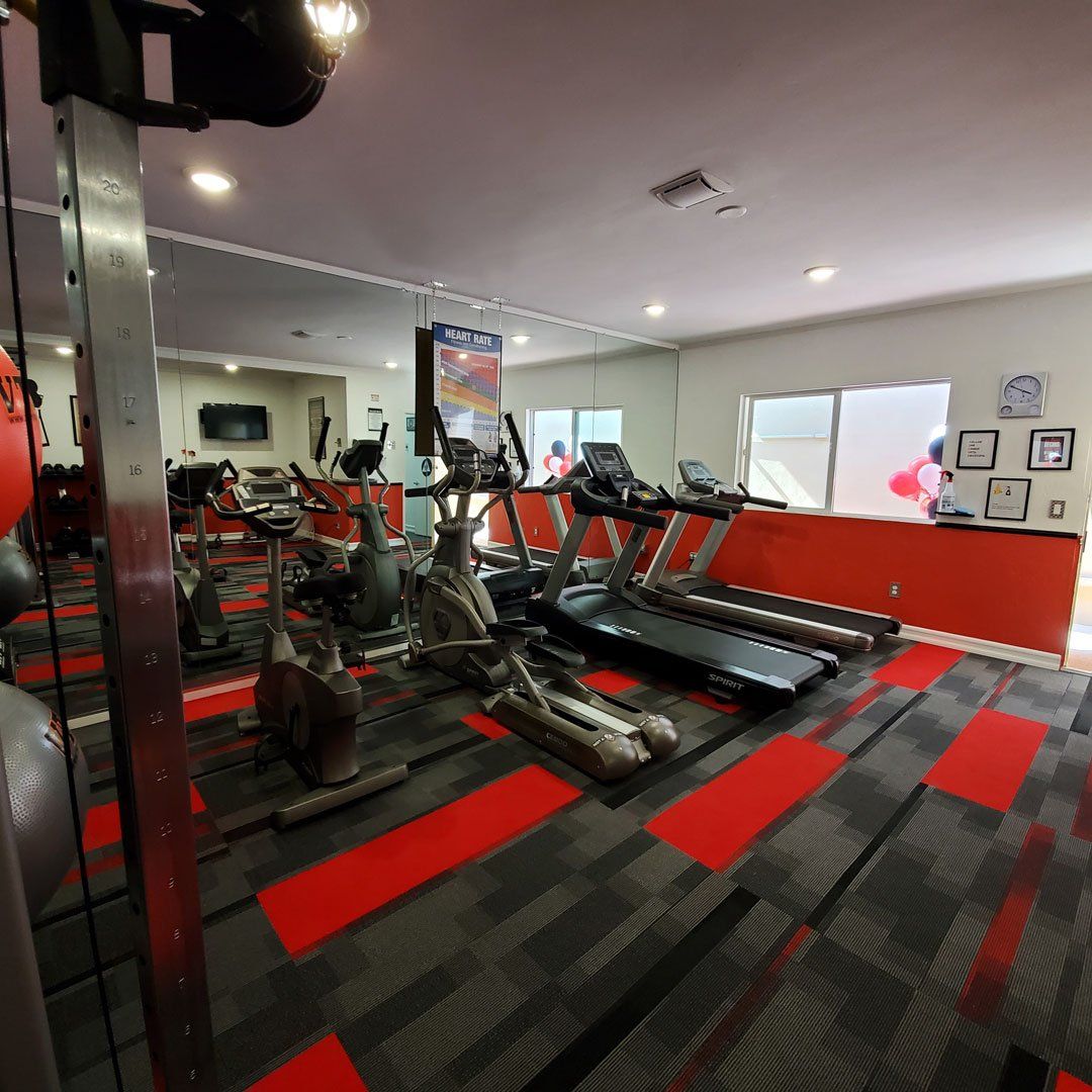 A gym with a lot of exercise equipment including treadmills and ellipticals