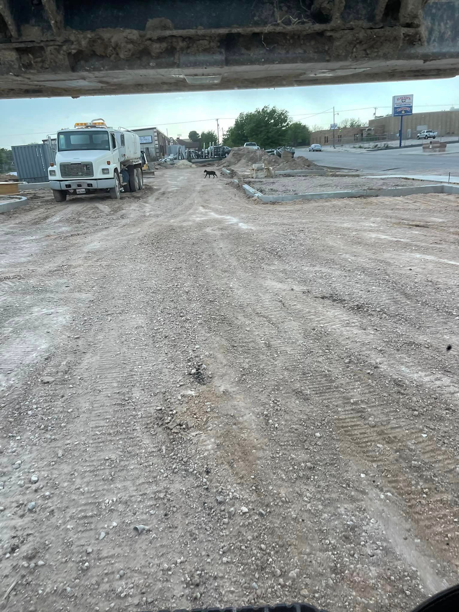 Road under construction with gravel and vehicles; a dog is visible.