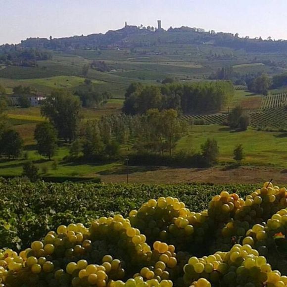 campagna