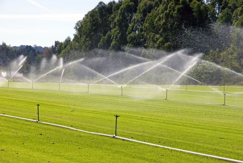 Irrigation System On A Turf Farm — Bearfast Bearquip In Taminda NSW