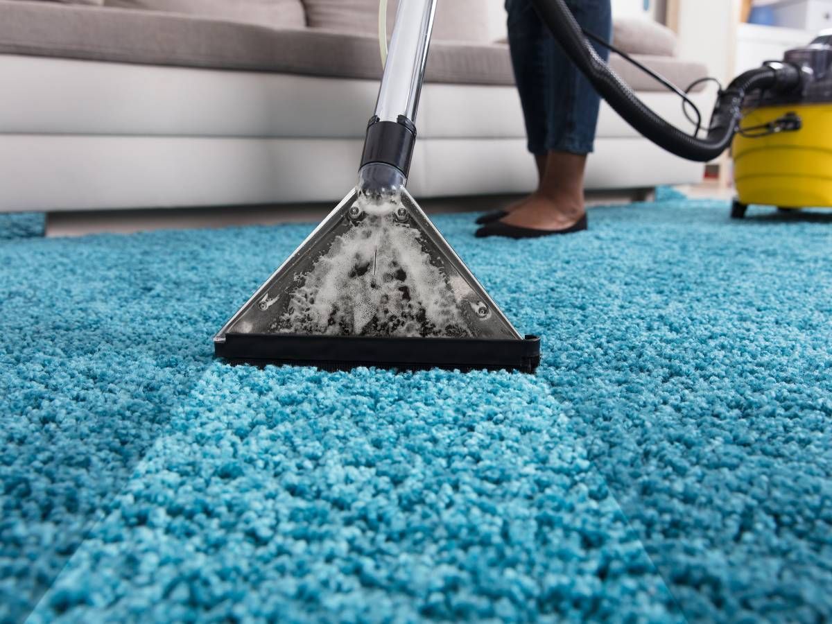 Squeaky Cleaners Nottingham cleaning a carpet at a house in Nottingham