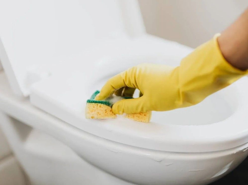 Squeaky Cleaners Nottingham deep cleaning in Wollaton