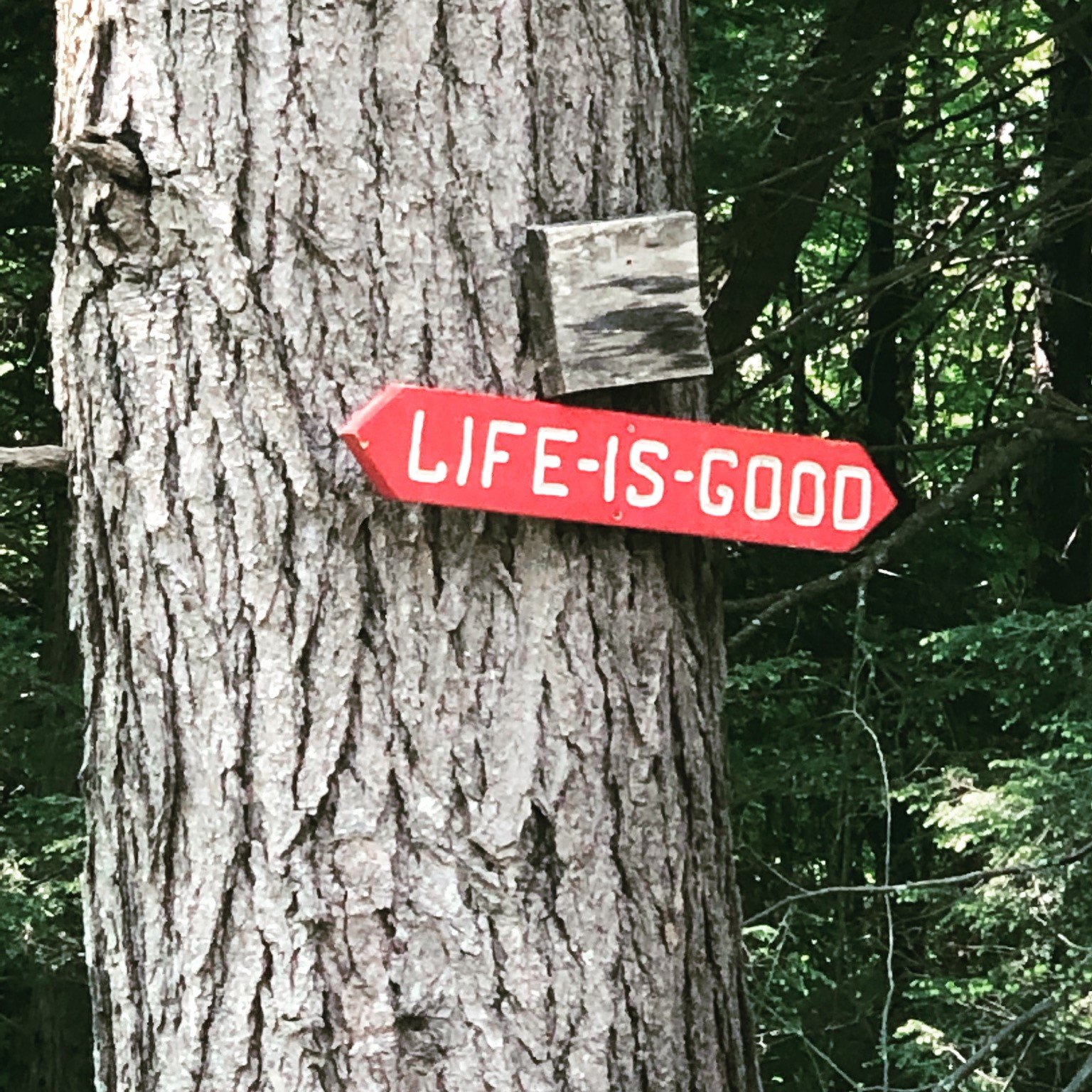 East Burke VT Vacation Rentals VT House Vacation Rental