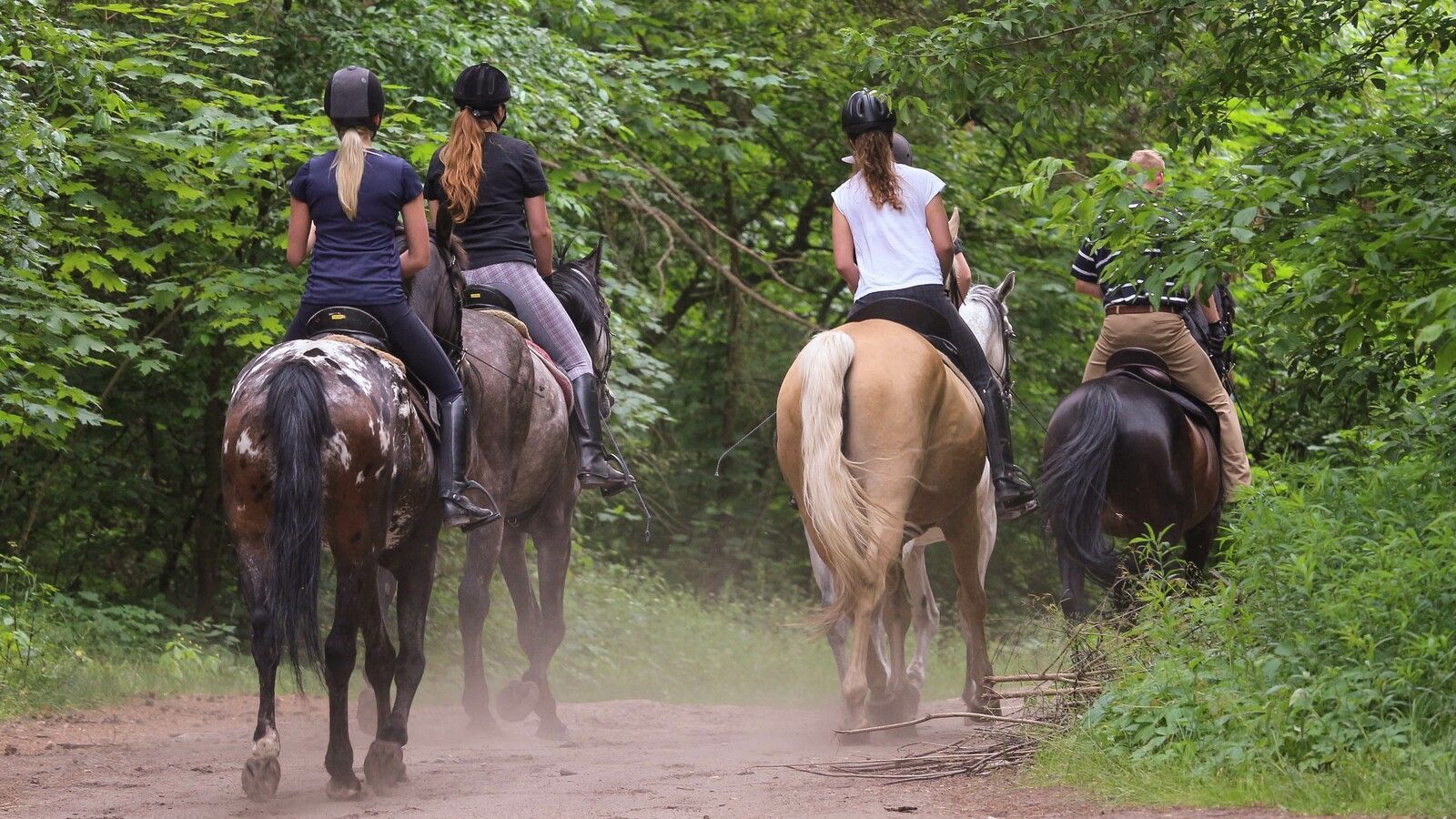 A group of people are riding horses down a dirt road.
