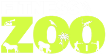MY FITNESS ZOO