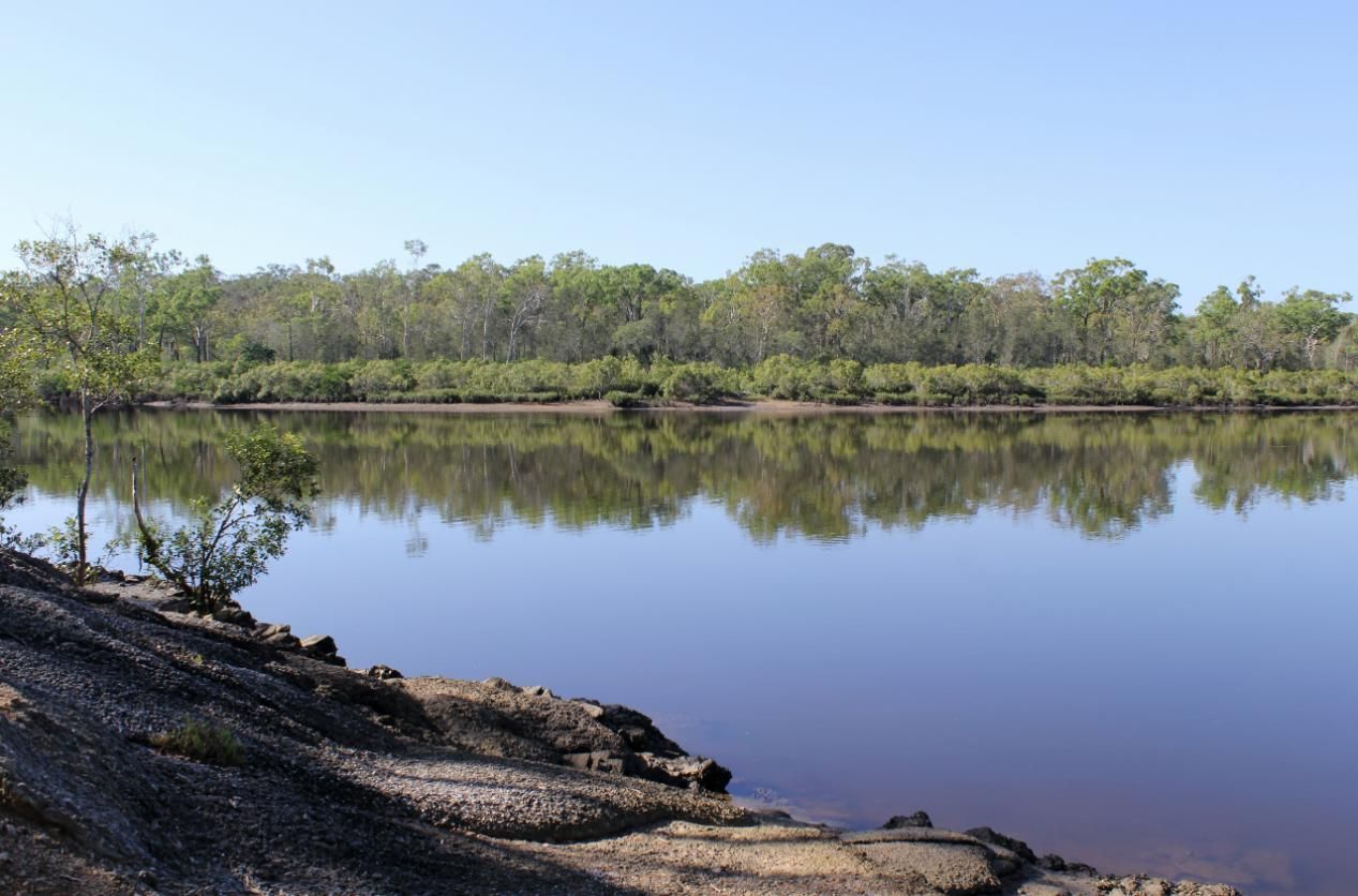 A Large Body of Water with Trees in The Background — K & S Sheetmetal in Boyne Island, QLD