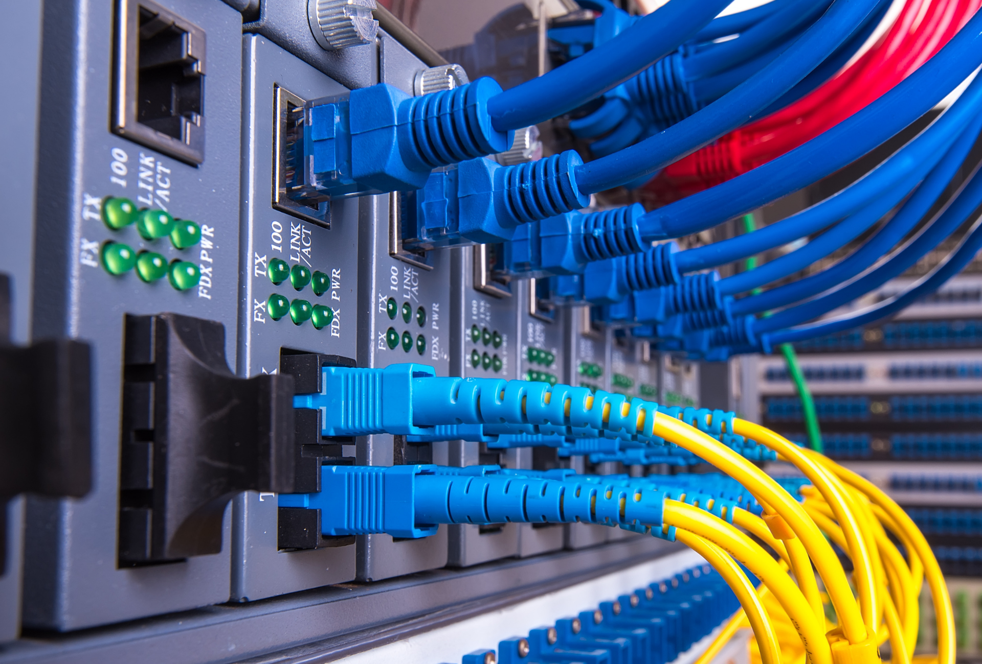 Blue and yellow Ethernet cables plugged into a network switch in a server rack