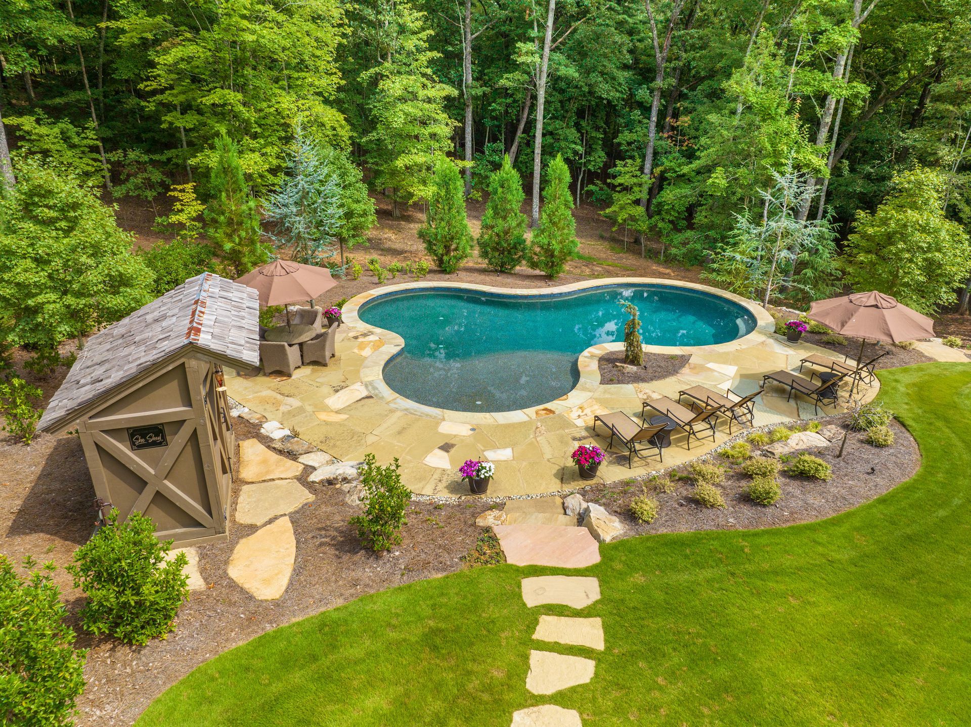 An aerial view of a large swimming pool in a backyard surrounded by trees.