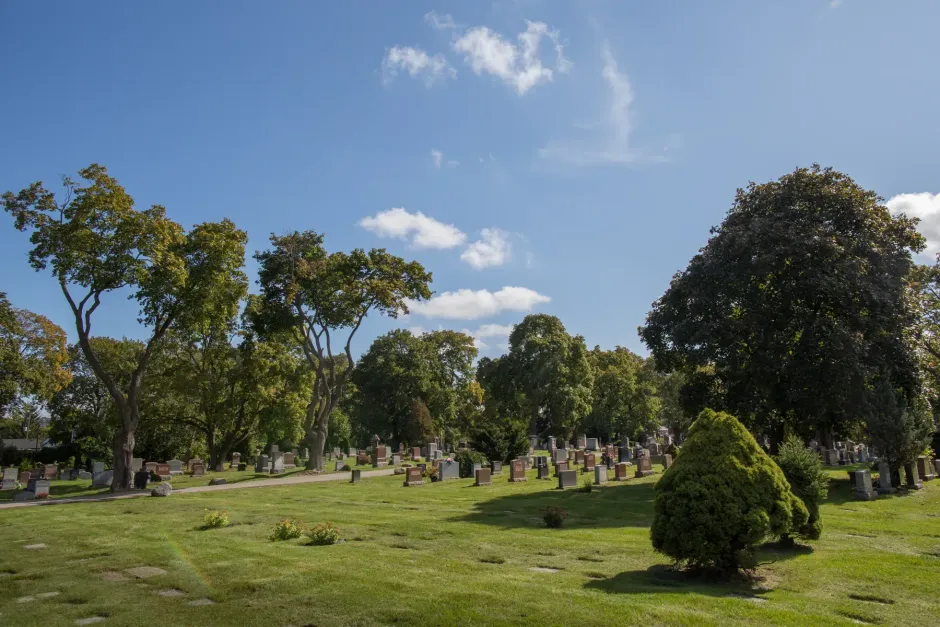 Sunny park with green trees, grass, and scattered people under a blue sky