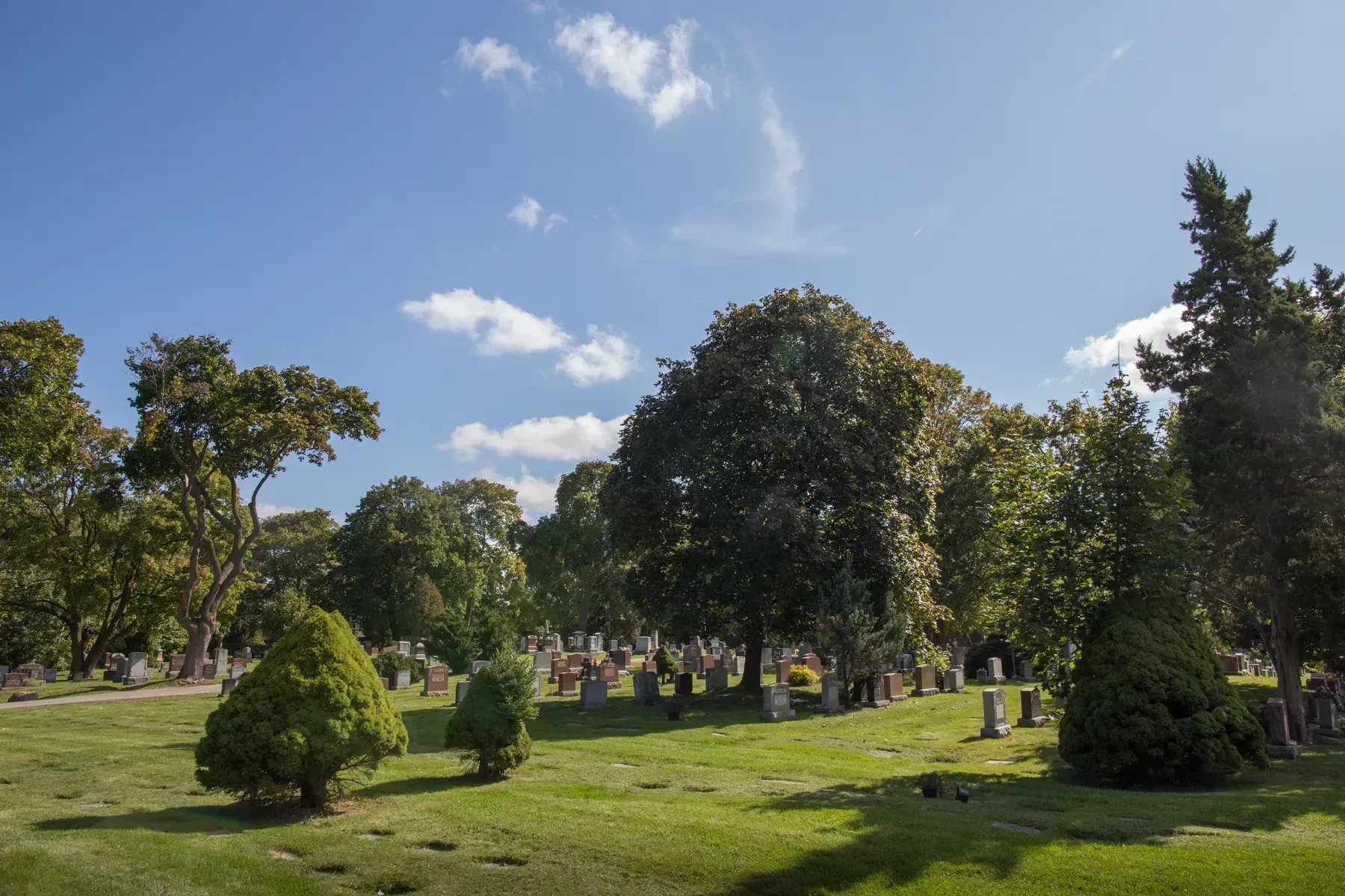 Sunny park with green trees, grass, and a blue sky with scattered clouds