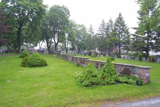Grassy park with stone wall, shrubs, and tall trees on a cloudy day