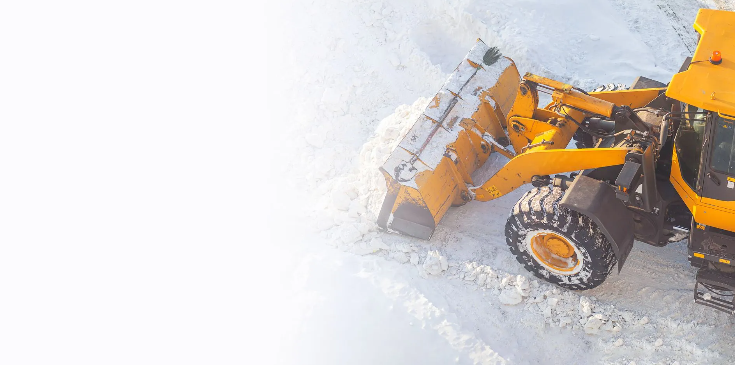 Three workers in bright orange safety gear clear snow from a park path with shovels on a sunny, winter day.