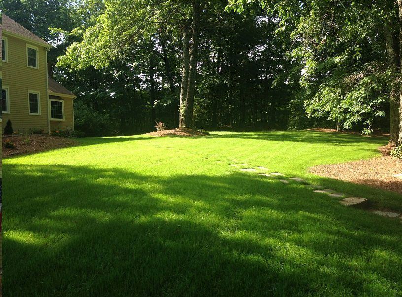 An overhead view of a person in a green shirt pushing a red lawn fertilizer spreader across a green grass lawn.
