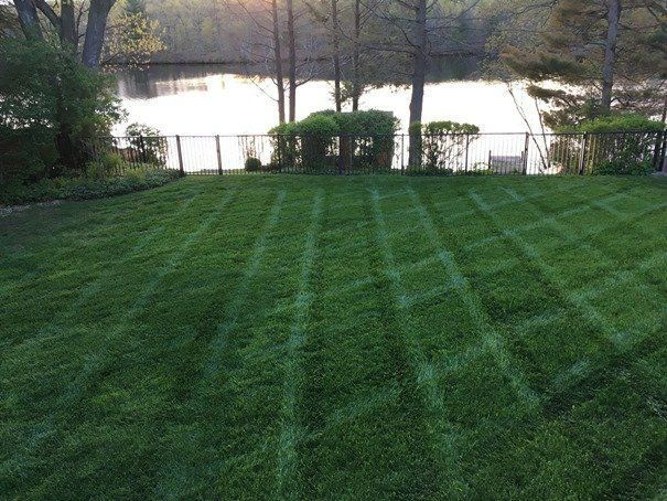 A stone stepping-stone path leads across a lush green lawn bordered by manicured hedges.