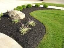 A section of green, bushy shrubs planted next to a bed of brown wood mulch and a light gray stone walkway.