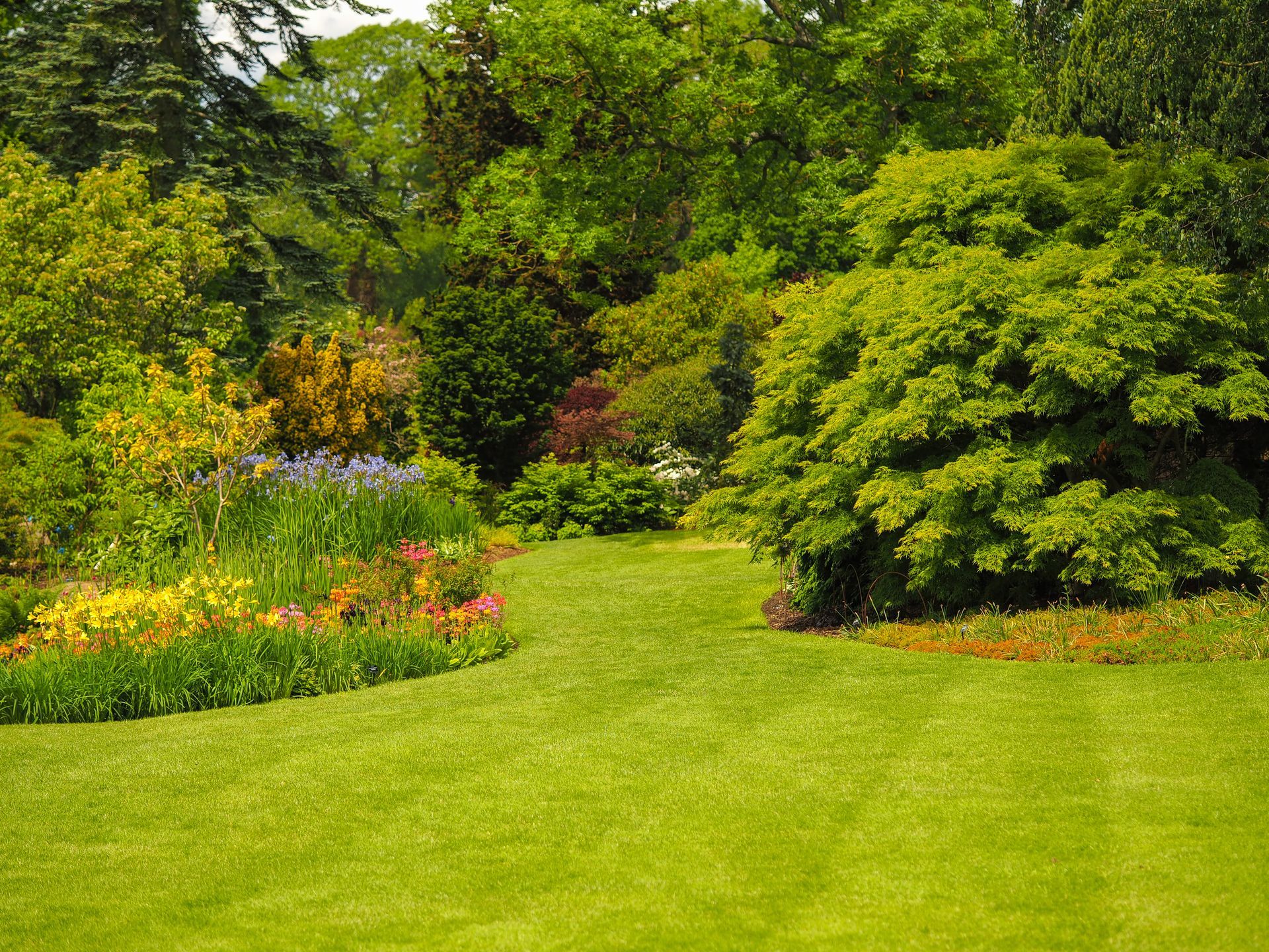A person in work clothes and green gloves uses long-handled shears to prune a spherical shrub in a garden.
