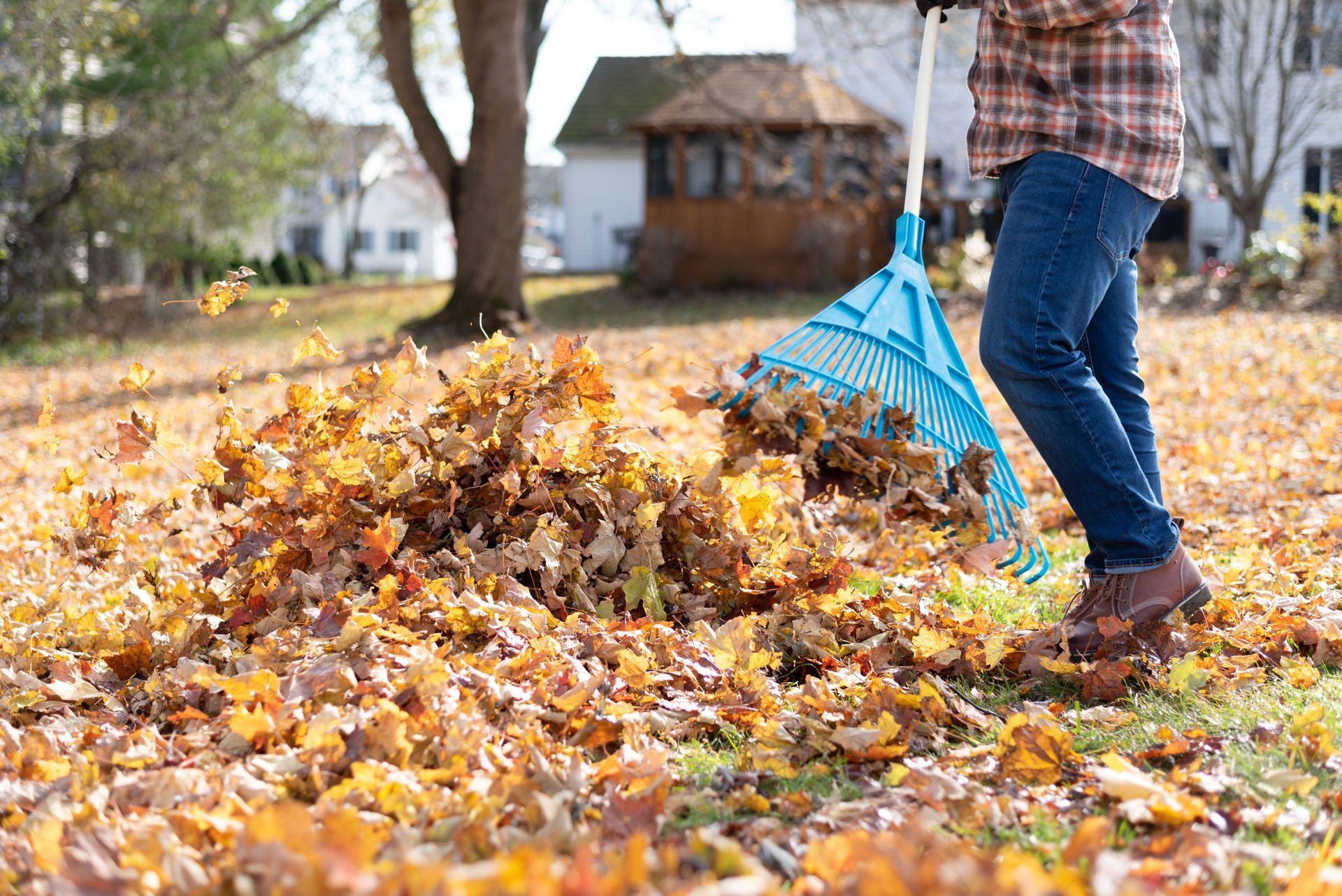 A person in a plaid shirt rakes fallen autumn leaves into a pile in a yard.