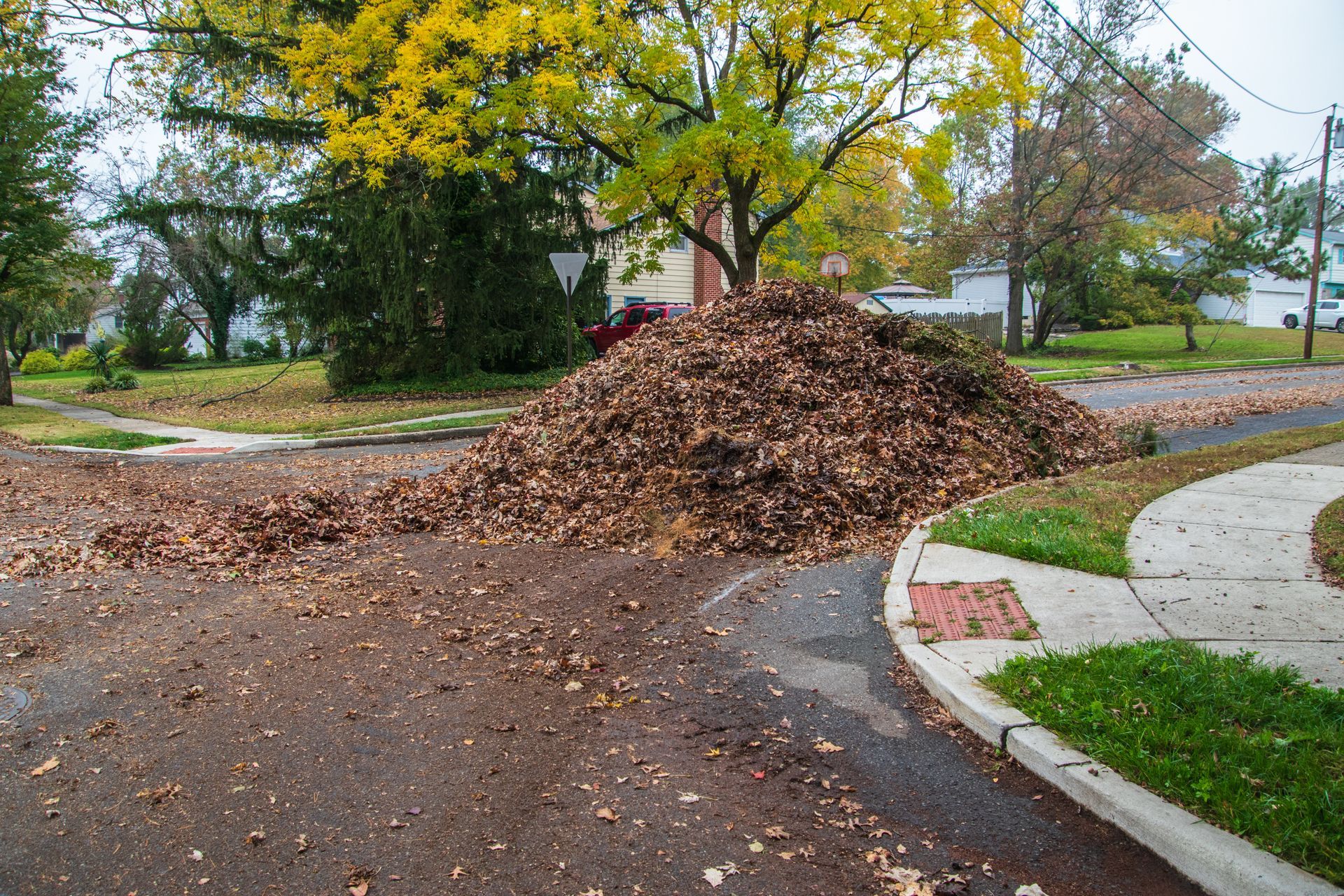 A large pile of fallen brown leaves sits in the middle of a residential street corner under a yellow-leafed tree.