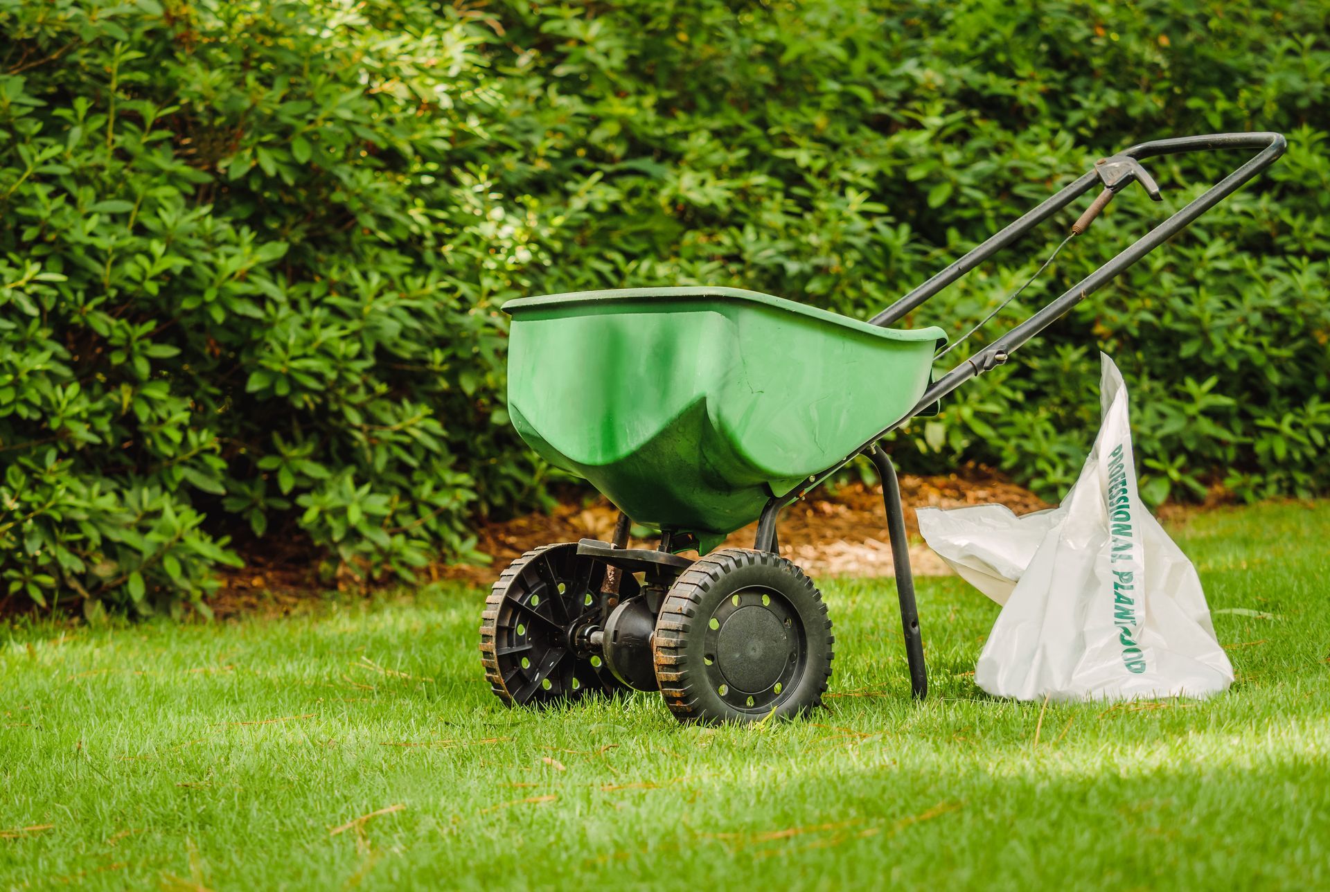 A green broadcast spreader sits on a grassy lawn next to a white bag of lawn product in front of green bushes.