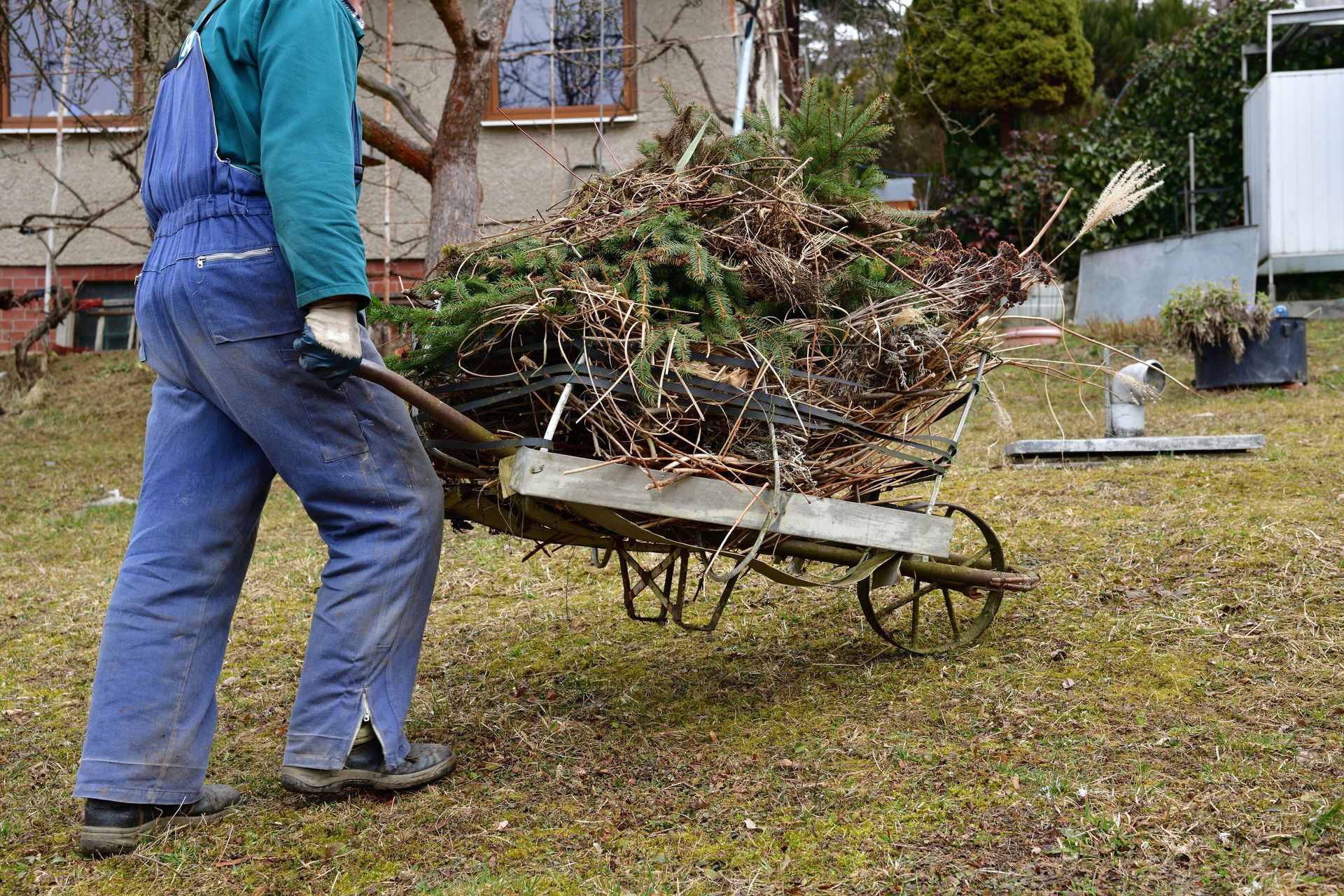 A person in blue overalls pushes a wheelbarrow full of garden debris across a grassy yard in front of a house.