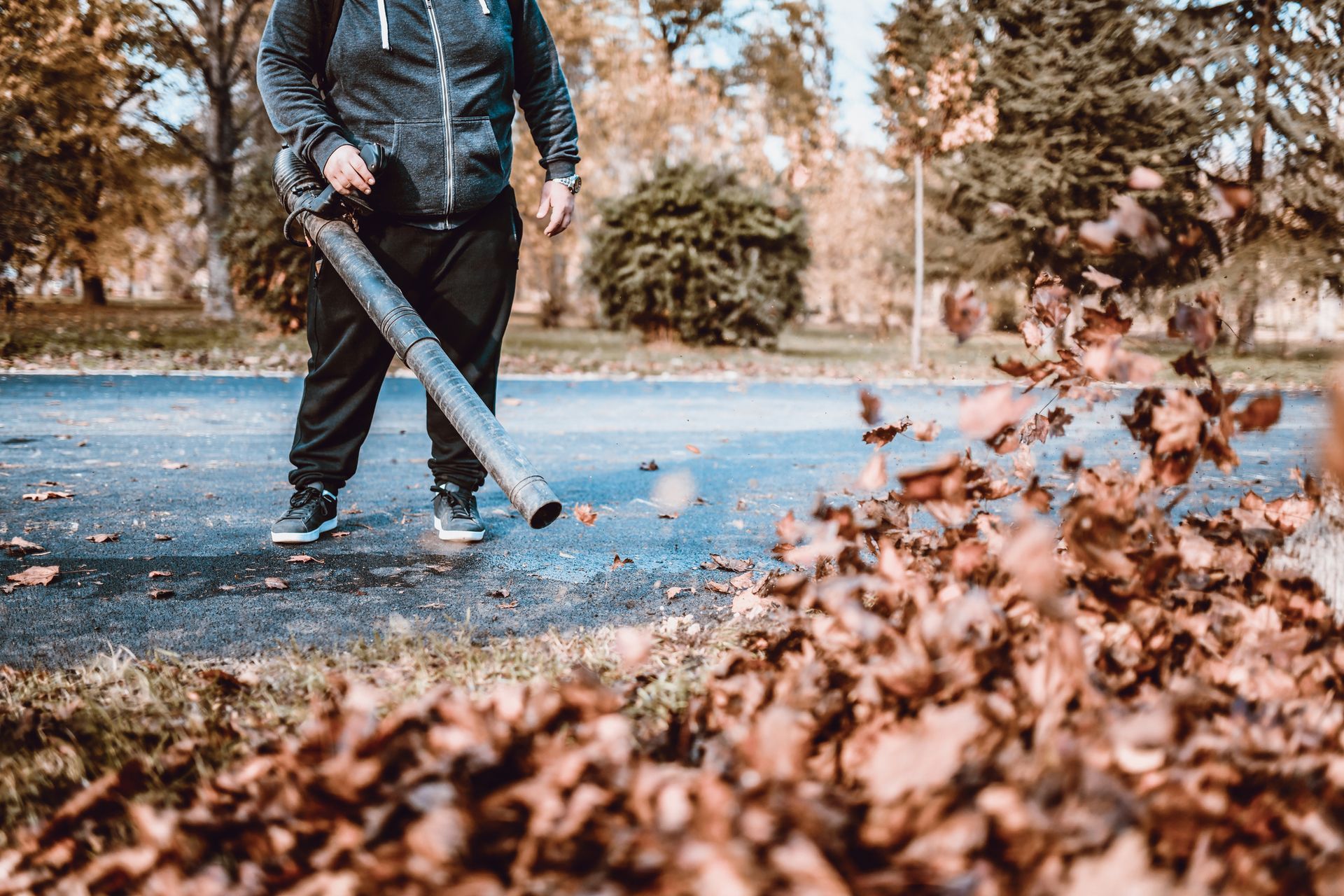 A person raking golden fallen autumn leaves into a pile on a green lawn at sunset.